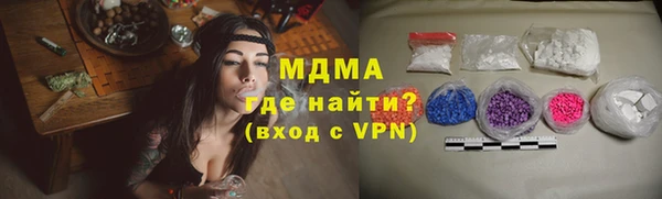 шишки Надым