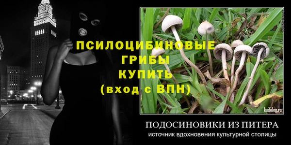 ешки Абдулино